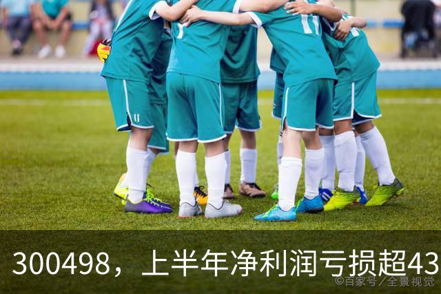 300498，上半年净利润亏损超43亿元